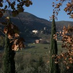 IMG_4953