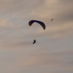MG_2210